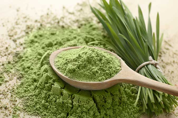 Barley Grass Powder