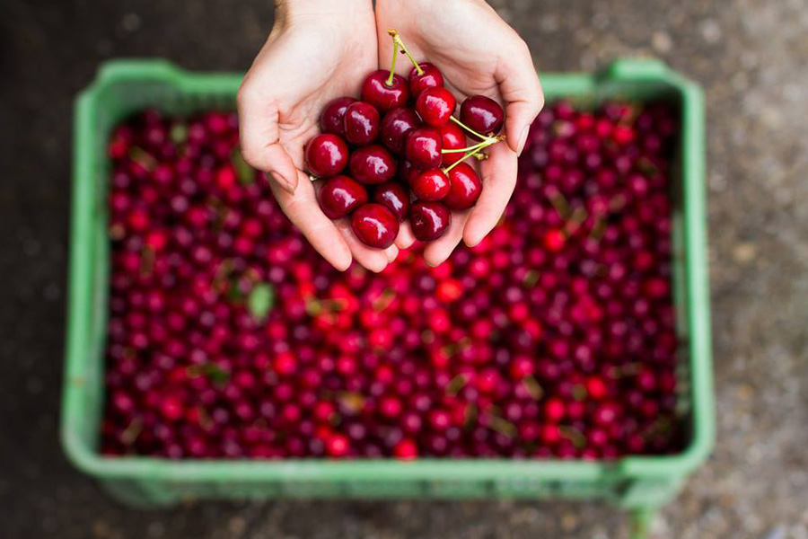 Cherries