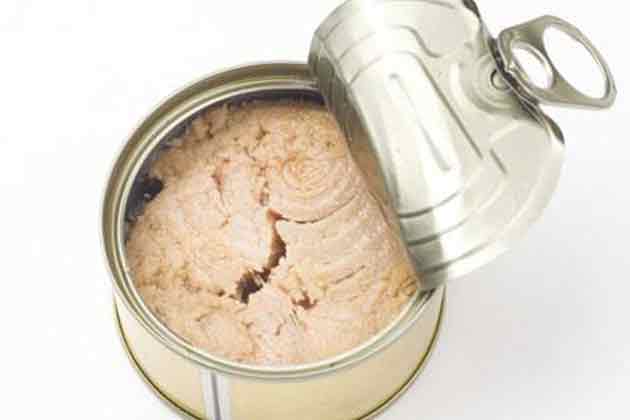 Fish Canned in Oil