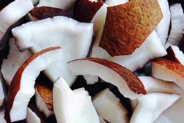 Coconut