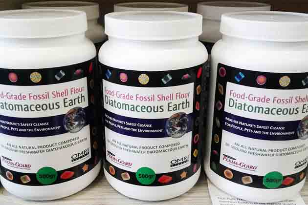 Diatomaceous Earth