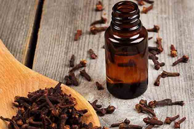 Clove Oil
