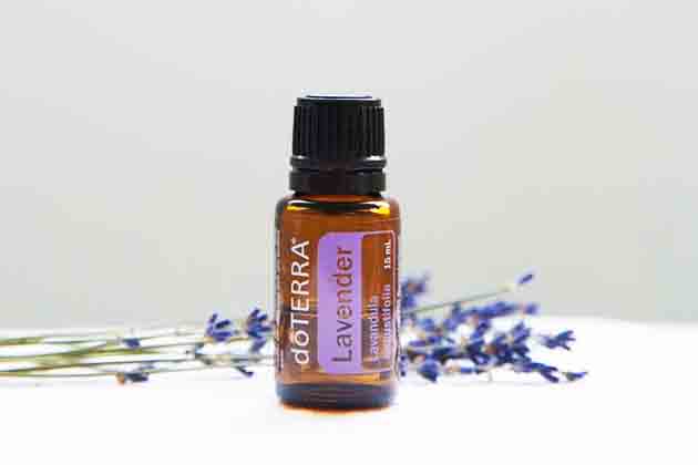 Lavender Oil