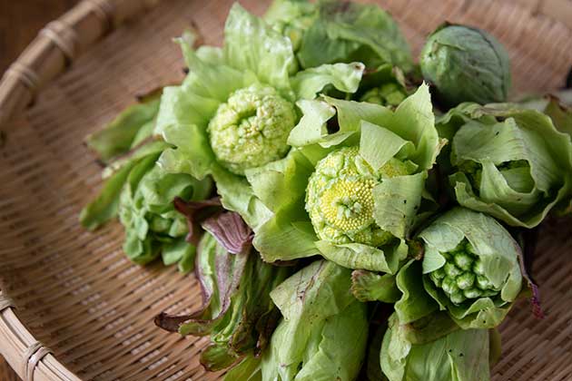 Have Some Butterbur