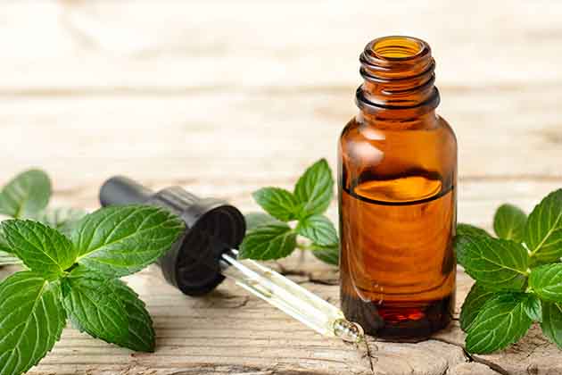 Peppermint Oil