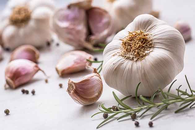 Garlic