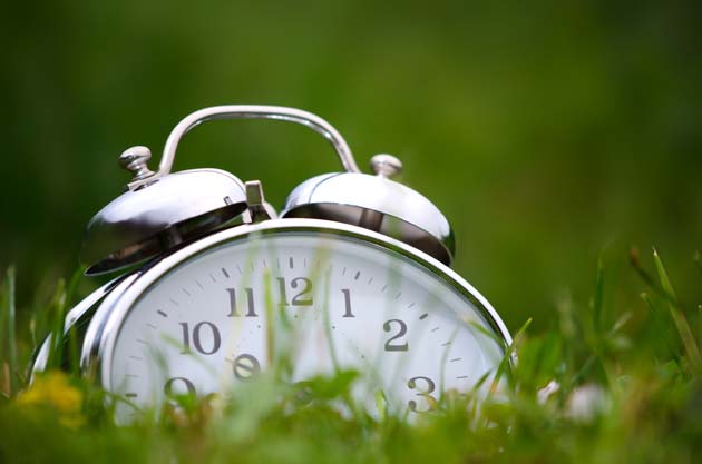 Daylight Saving's Time