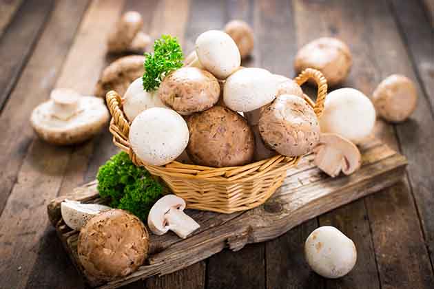 Mushrooms