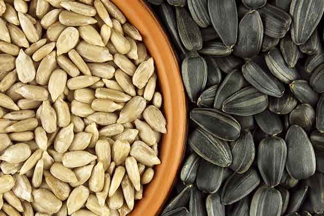 Sunflower Seeds