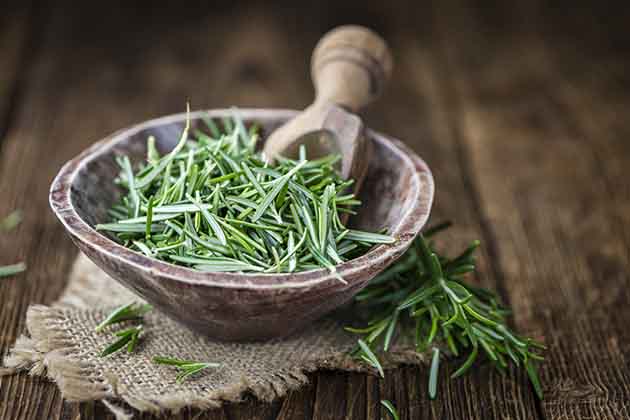 Rosemary