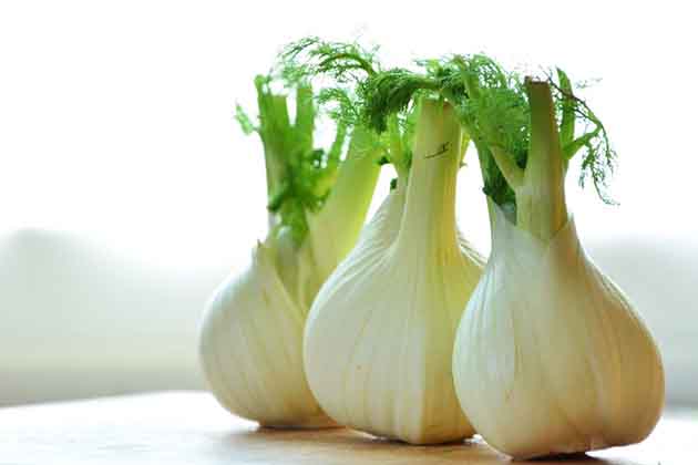 Fennel