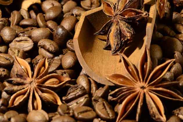 Anise