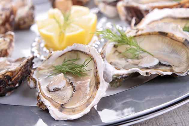Oysters