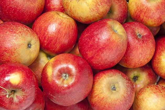 Apples