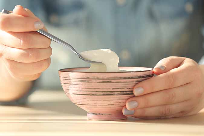 Plain Yogurt