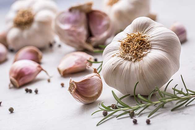 Garlic