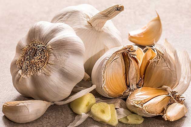 Garlic