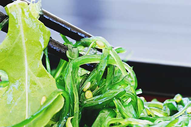 Seaweed
