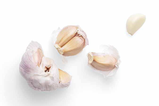 Garlic Clove