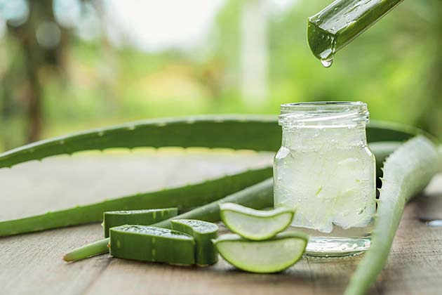 Aloe Vera