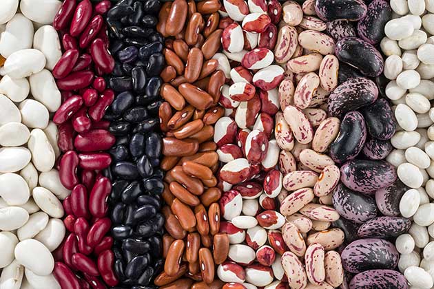 Beans