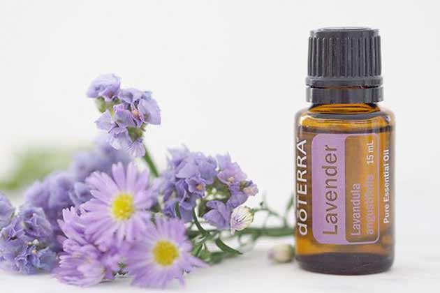 Inhale the Aroma of Lavender