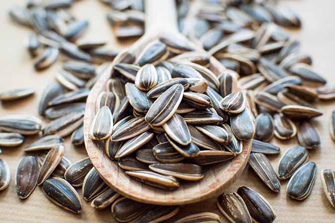 Seeds