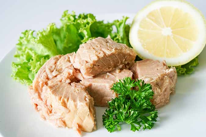 Albacore Tuna