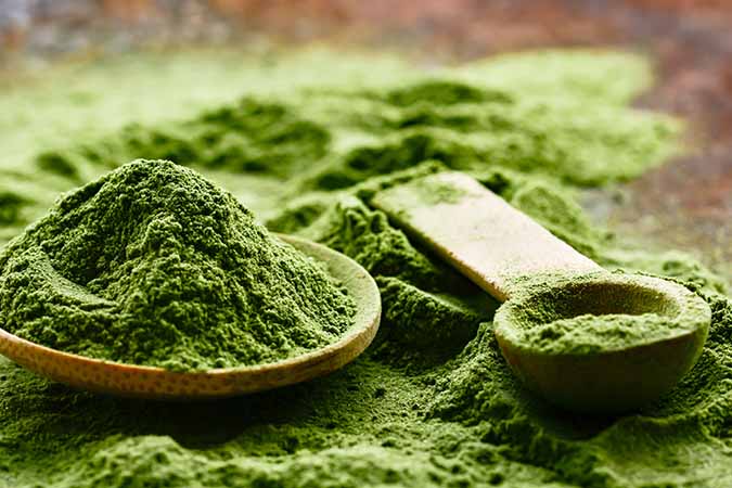 Chlorella