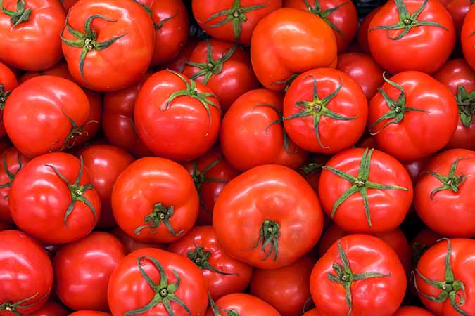 Tomatoes